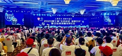 O revizuire minunată a celui de-al 8-lea forum la Summit pentru securitatea e...